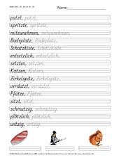 DSS_2S_Bu_tz_Nr_02.pdf